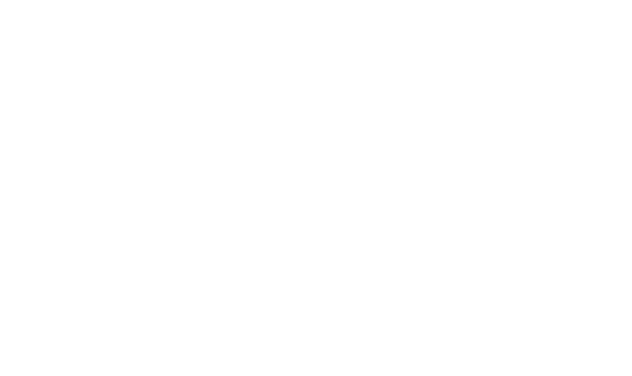 Ari Maler GmbH Logo